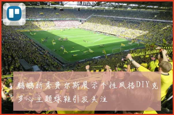 鹈鹕新秀费尔斯展示个性风格DIY克罗心主题球鞋引发关注