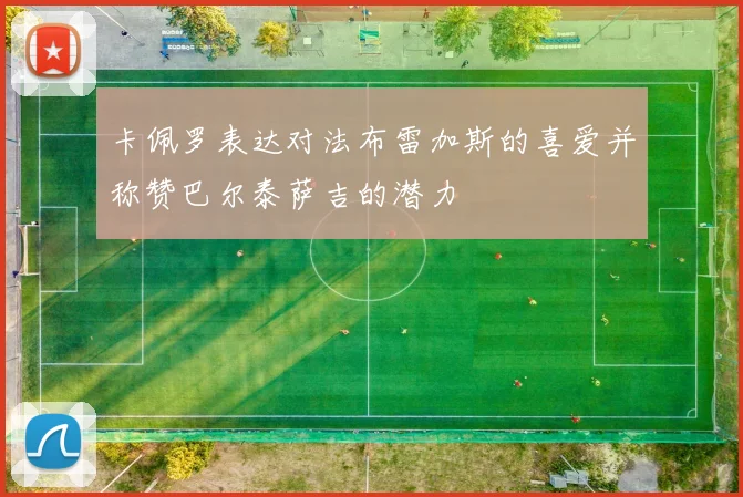 卡佩罗表达对法布雷加斯的喜爱并称赞巴尔泰萨吉的潜力